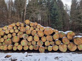 Fir Saw logs |  Softwood | Logs | ALBA Forrest s.r.o.