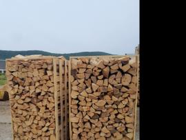 Firewood Beech |  Firewood, briquettes | Masssa s.r.o