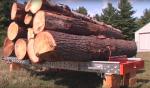 Other equipment Pásová pila Mobilní HD-36 |  Sawmill machinery | Woodworking machinery | Drekos Made s.r.o