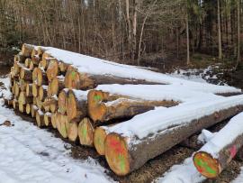 Fir Saw logs